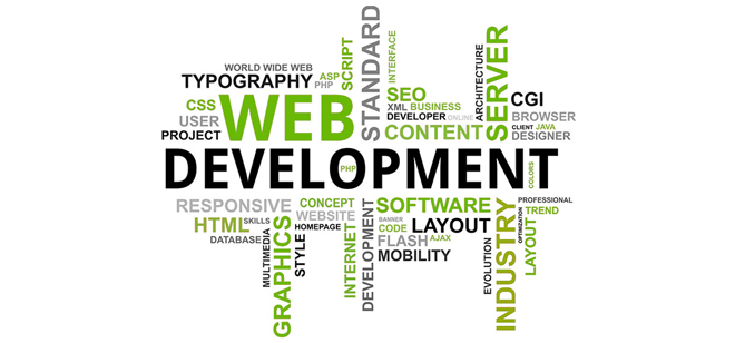 classified website development