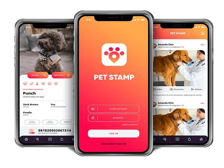 Portfolio MXICoders INC